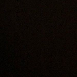 Meet your Posher, Riley